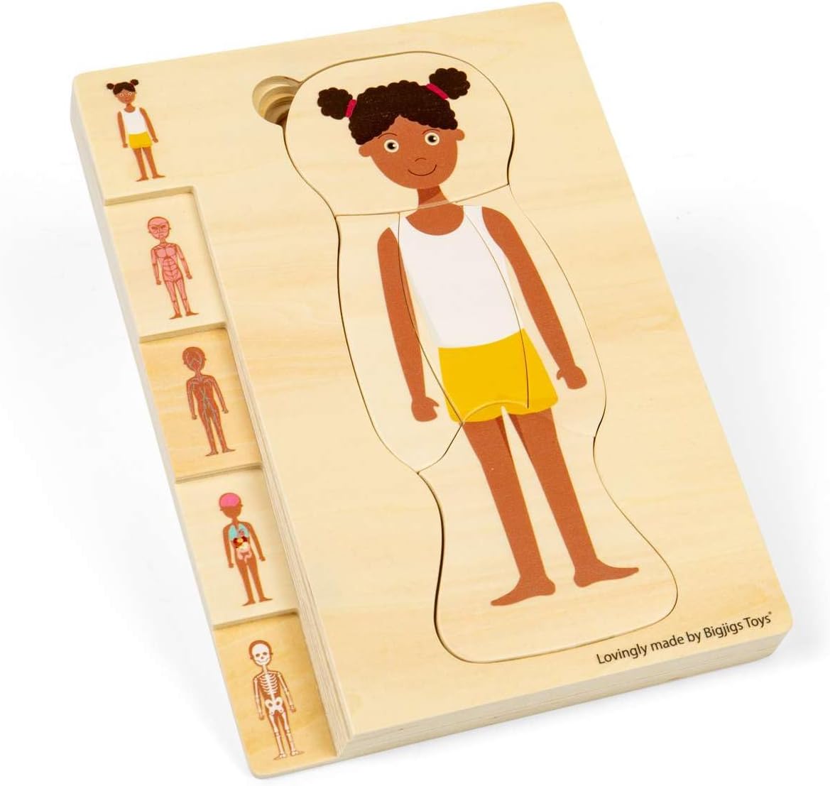 Bigjigs Toys Rompecabezas de anatomía femenina – Juego de rompecabezas de cuerpo humano de 26 piezas, rompecabezas de madera, juguete de ciencia para aprender y jugar, rompecabezas educativos
