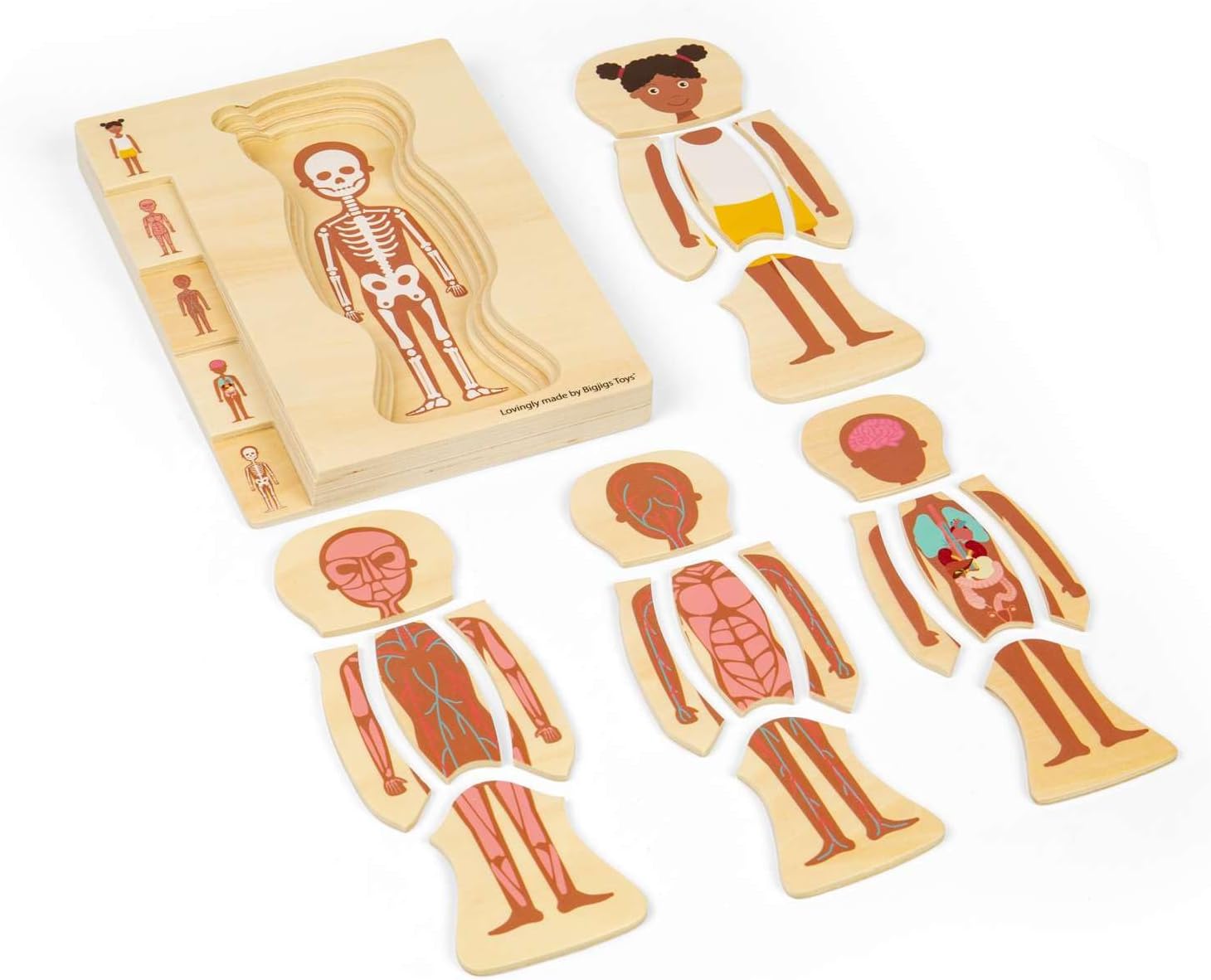 Bigjigs Toys Rompecabezas de anatomía femenina – Juego de rompecabezas de cuerpo humano de 26 piezas, rompecabezas de madera, juguete de ciencia para aprender y jugar, rompecabezas educativos