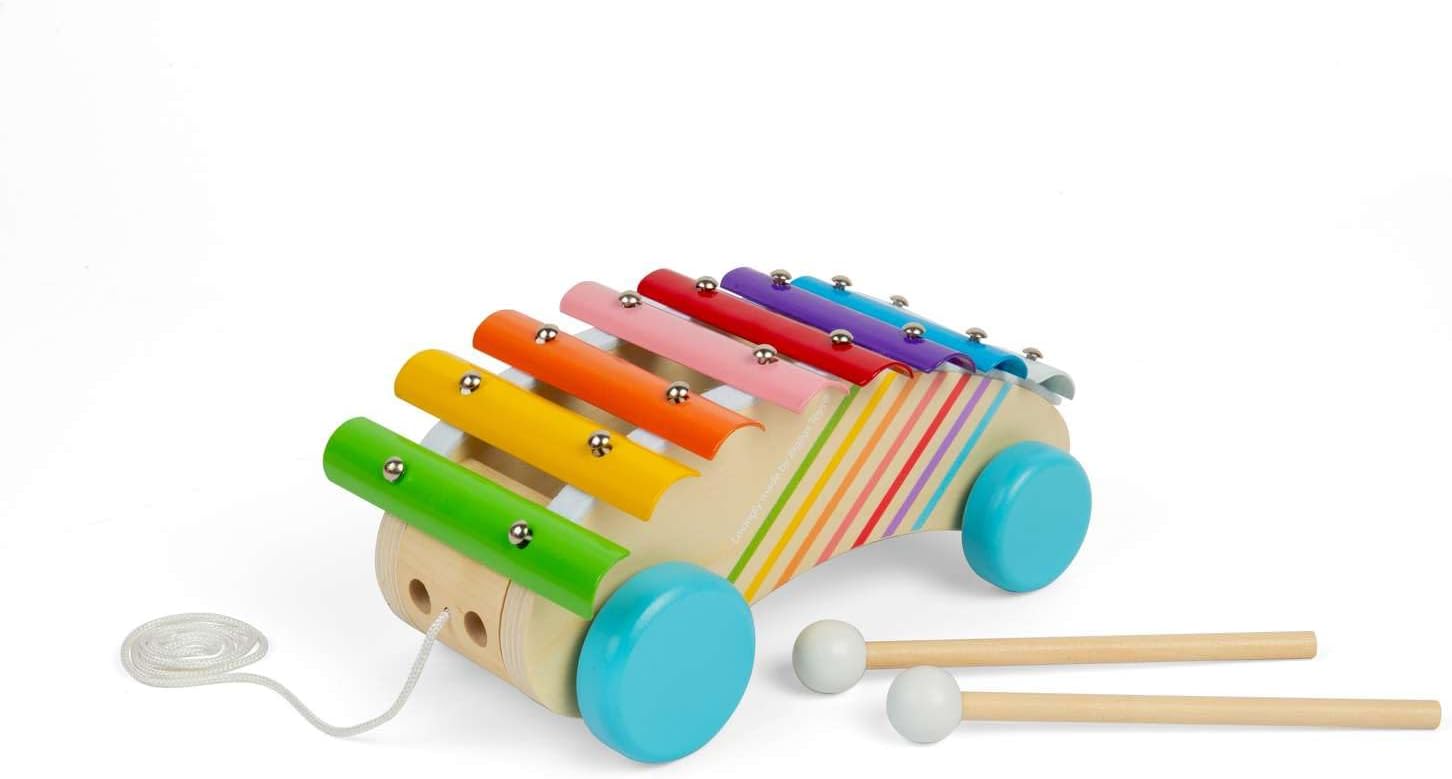 Bigjigs Toys Xilofono da tirare lungo – strumento arcobaleno in legno 2 in 1 per bambini e bambini, xilofoni musicali, strumenti sensoriali e accessori, regali per bambini, età 18 + mesi