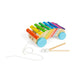 Bigjigs Toys Xilofono da tirare lungo – strumento arcobaleno in legno 2 in 1 per bambini e bambini, xilofoni musicali, strumenti sensoriali e accessori, regali per bambini, età 18 + mesi