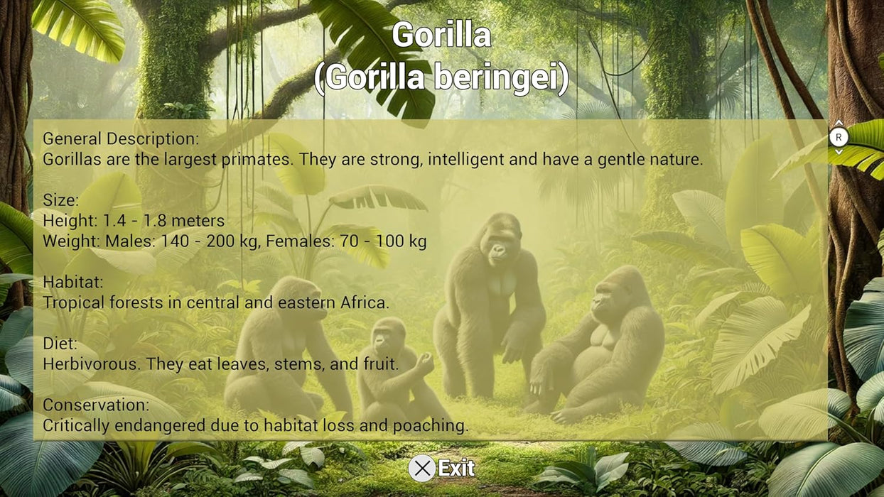 My Vet Practice In The Zoo