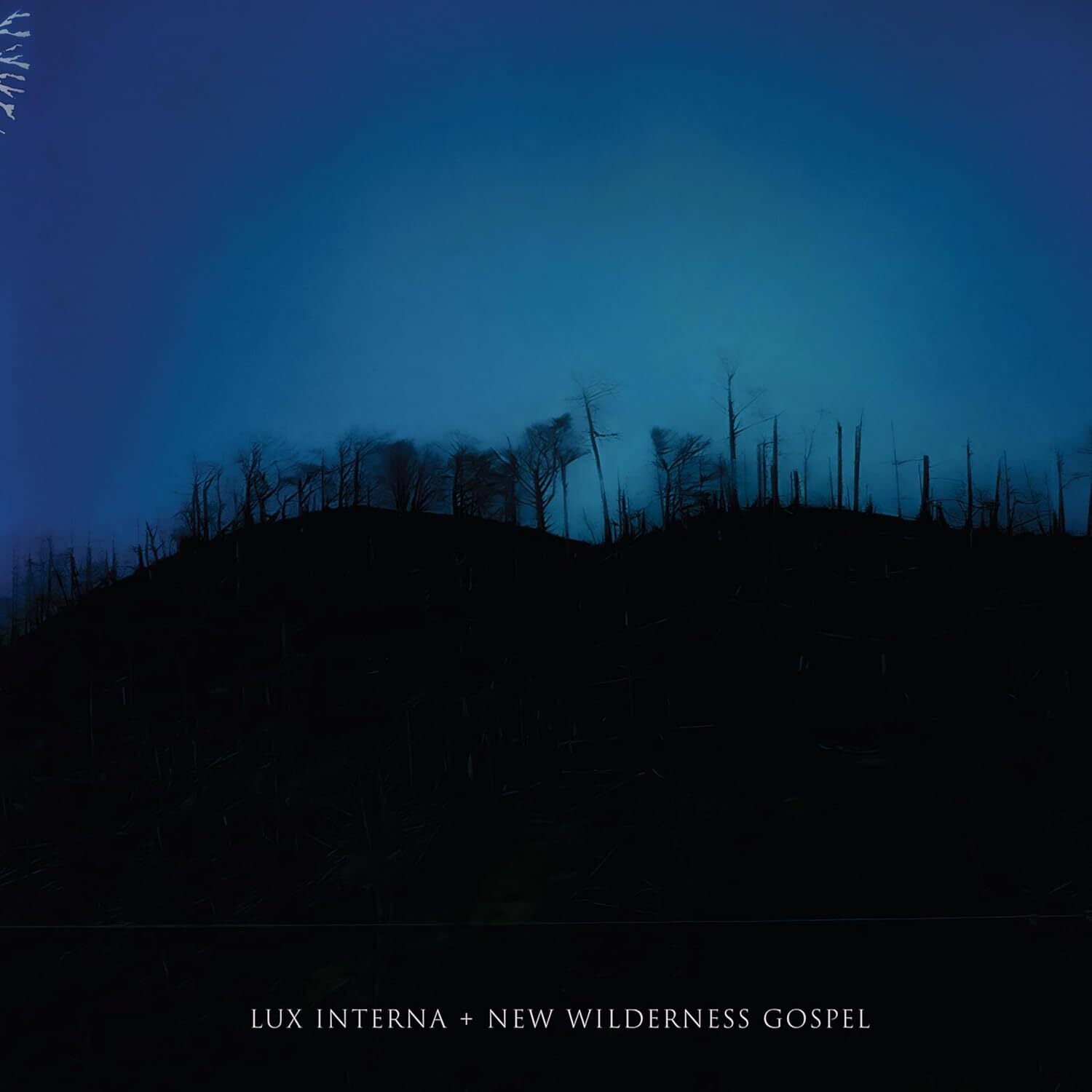 New Wilderness Gospel