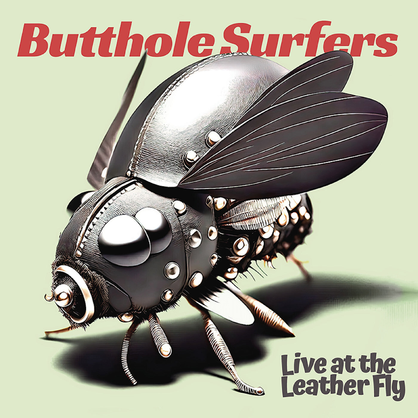 Live at the Leather Fly