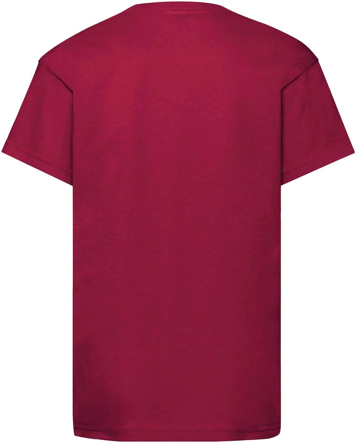 HARRY POTTER Childrens/Kids Hogwarts Express T-Shirt (12-13 Years) (Maroon