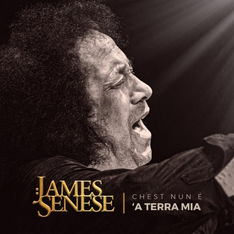 Vinile James Senese - Chest Nun 'A Terra Mia