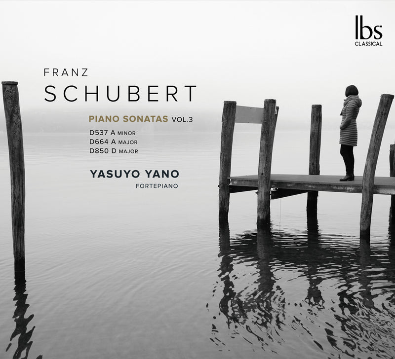 Franz Schubert: Piano Sonatas: D537 a Minor/D664 a Major/D850 D Major - Volume 3