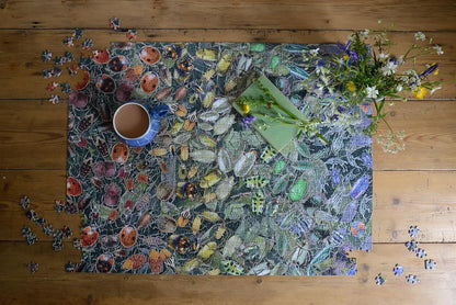 Natural History Museum 1000-Piece Beetle Jigsaw Puzzle: A Colorful Challenge Featuring Rhino Beetles, Ladybirds & More Size 66 x 50 cm