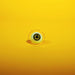 Dilated