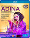 Adina: Teatro Rossini, Pesaro (Matheuz)