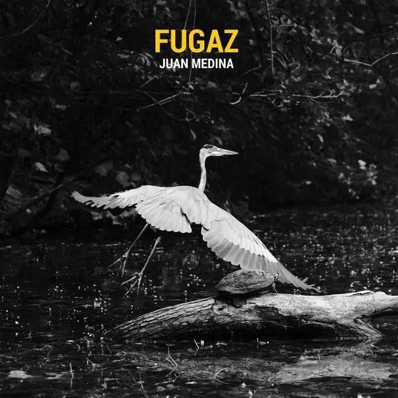Fugaz