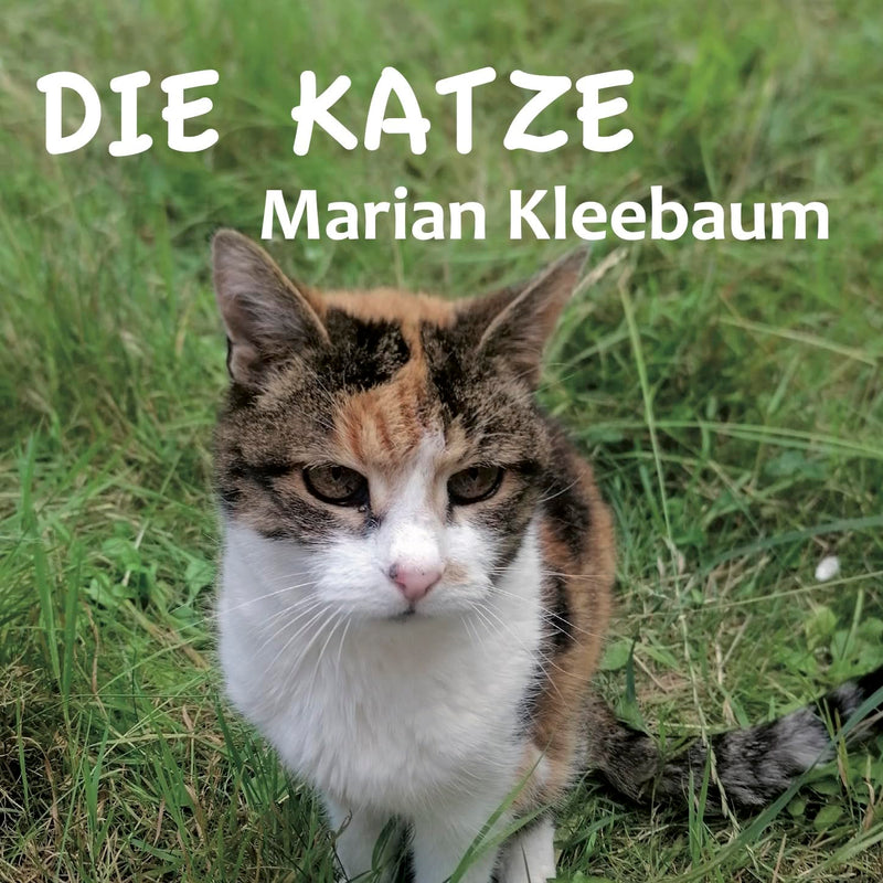 Die Katze