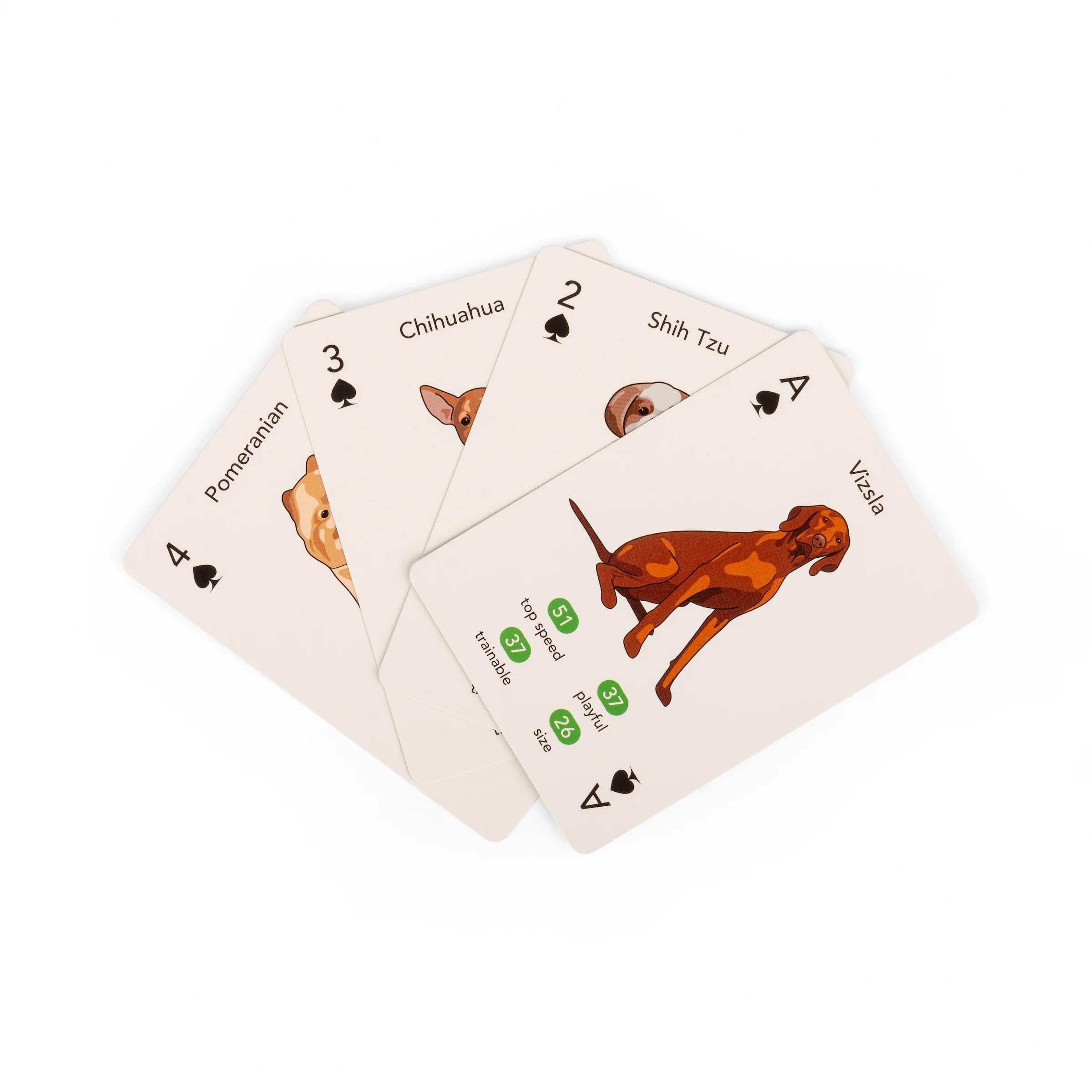Kikkerland Paws & Play - Cartas de juego