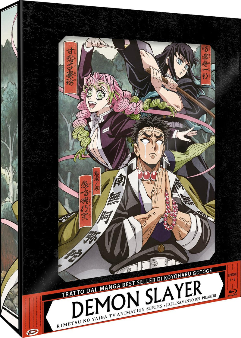 Demon Slayer Box #06 - L'Allenamento Dei Pilastri (Eps 01-08