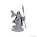 WizKids Dungeons & Dragons Nolzur's Marvelous Miniatures | Unpainted Miniatures | Wave 25 (Star Spawn Larva Mage
