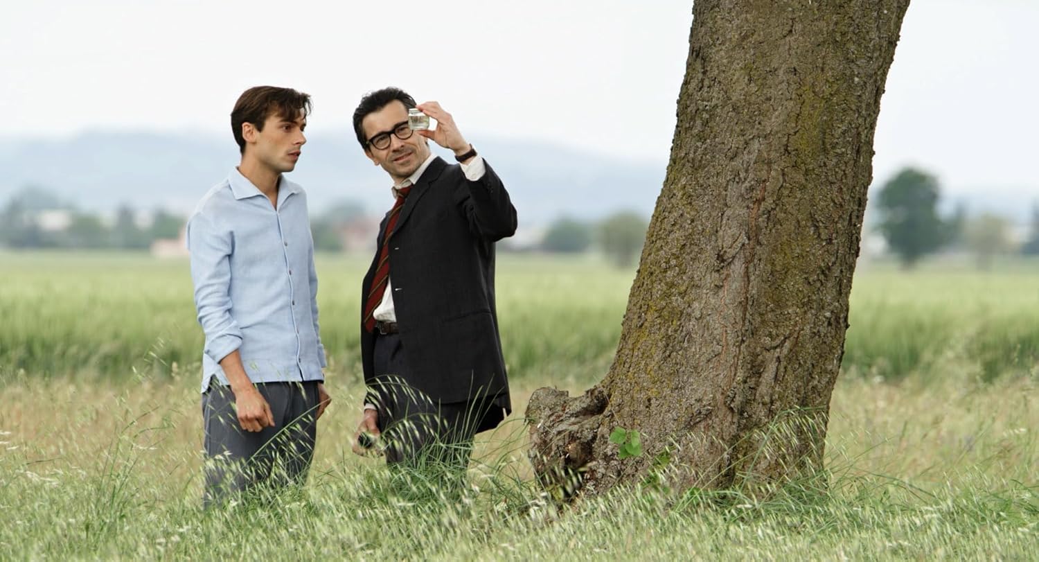 Il Signore Delle Formiche