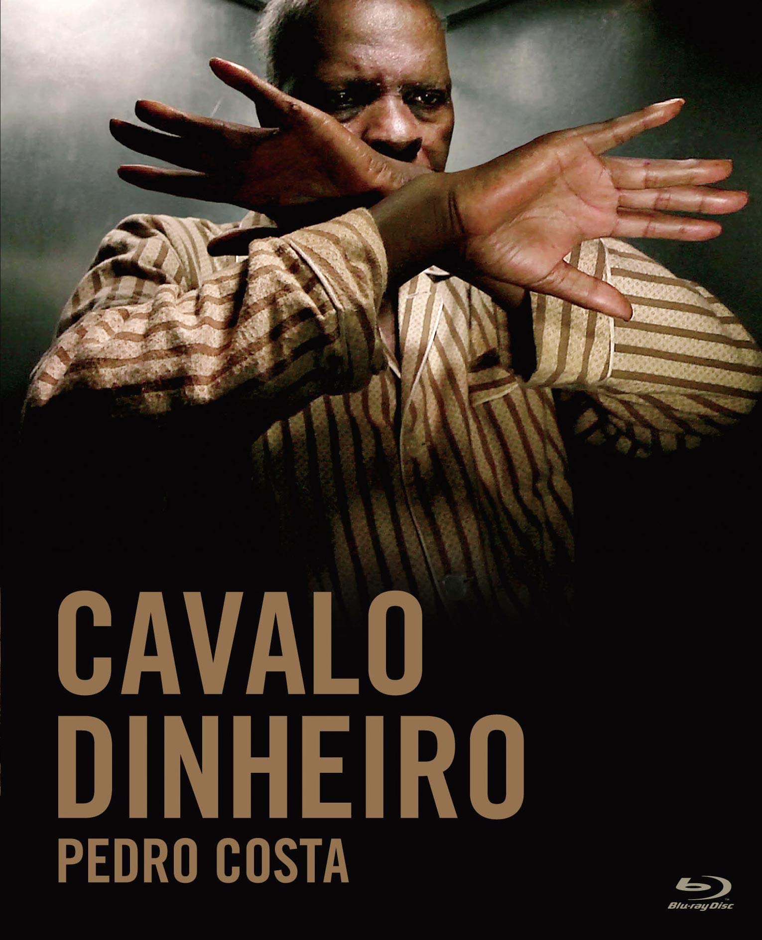 Cavalo Dinheiro