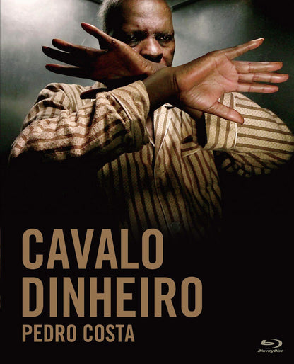 Cavalo Dinheiro
