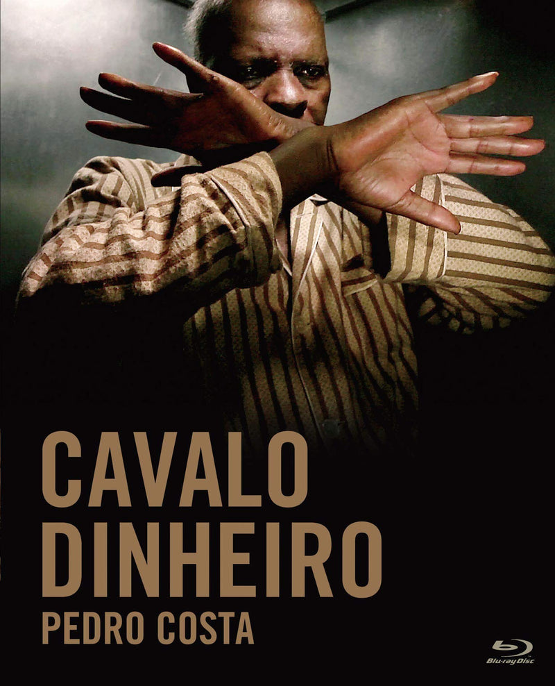 Cavalo Dinheiro