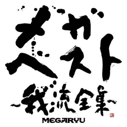 メガ・ベスト~我流全集~(DVD付