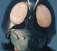 Shin Kamen Rider Ongaku Shuu