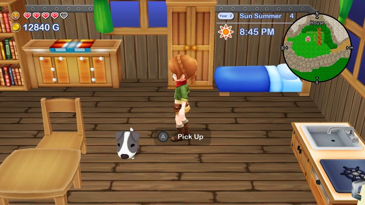Harvest Moon: The Lost Valley and Skytree Village Nintendo Switch