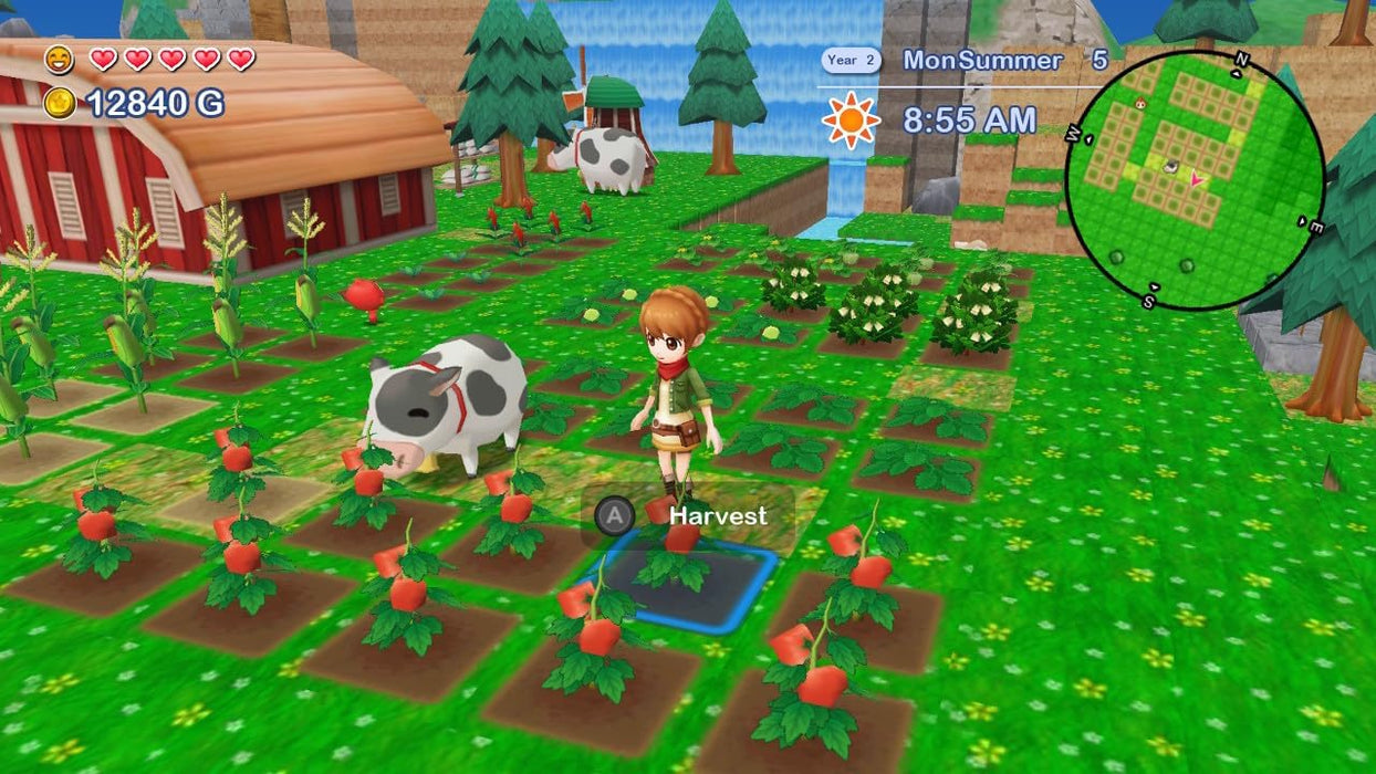 Harvest Moon: The Lost Valley and Skytree Village