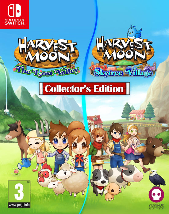Harvest Moon: The Lost Valley and Skytree Village