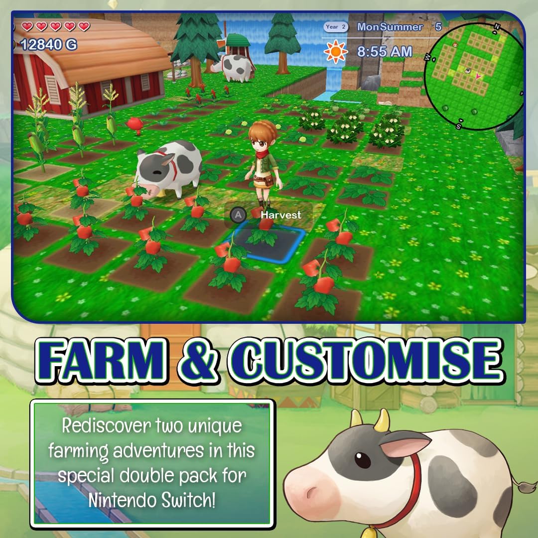 Harvest Moon: The Lost Valley and Skytree Village Nintendo Switch Collector's Edition