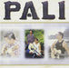 Pali-Pali
