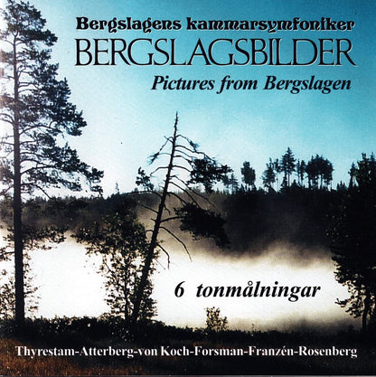 Bergslagens Kammarsymfoniker - Bergslagsbilder
