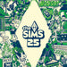 The Sims 25