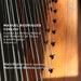 Manuel Rodrigues Coelho: Flores De Musica Pera O Instrumento... - Volume 5