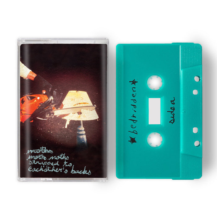 Moths Strapped to Each Other's Backs