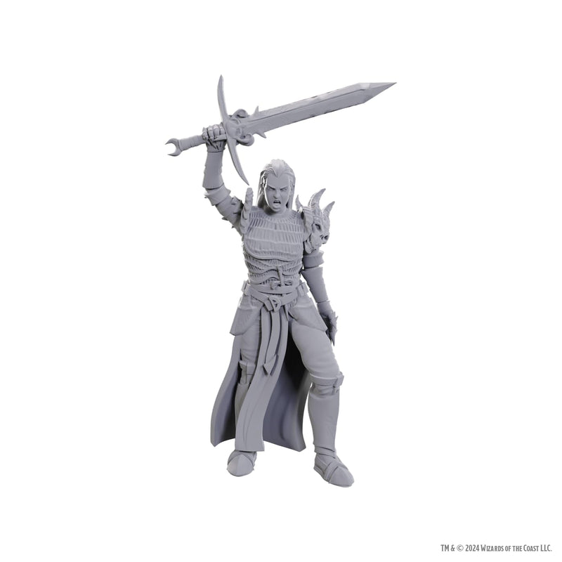 WizKids Dungeons & Dragons Nolzur's Marvelous Miniatures | Unpainted Miniatures | Wave 25 (Blackguard