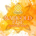 Marigold Rise -Entrance Music-