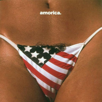 Black Crowes (The) - Amorica