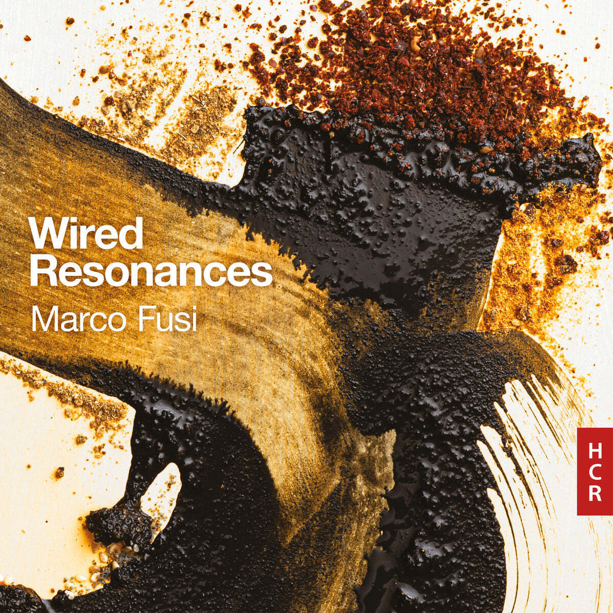 Marco Fusi: Wired Resonances