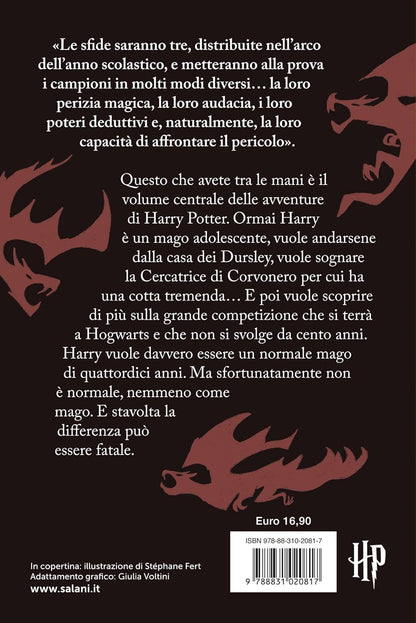 Harry Potter e il calice di fuoco