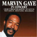 Marvin Gaye in Concert