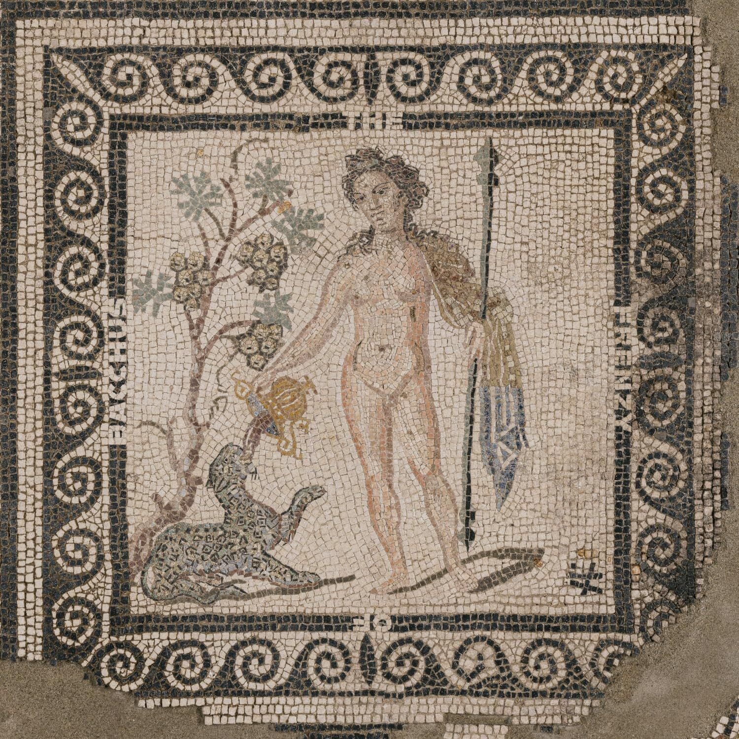 The Frenzy of Bacchus