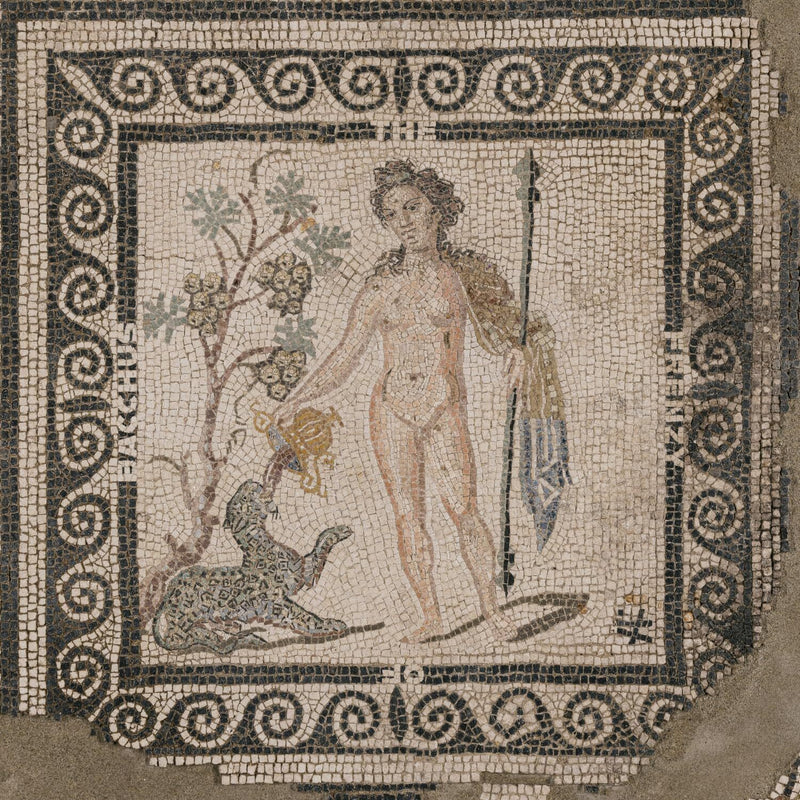 The Frenzy of Bacchus