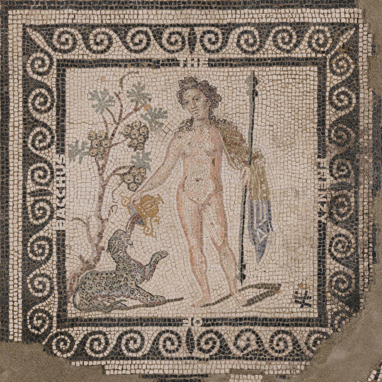 The Frenzy of Bacchus