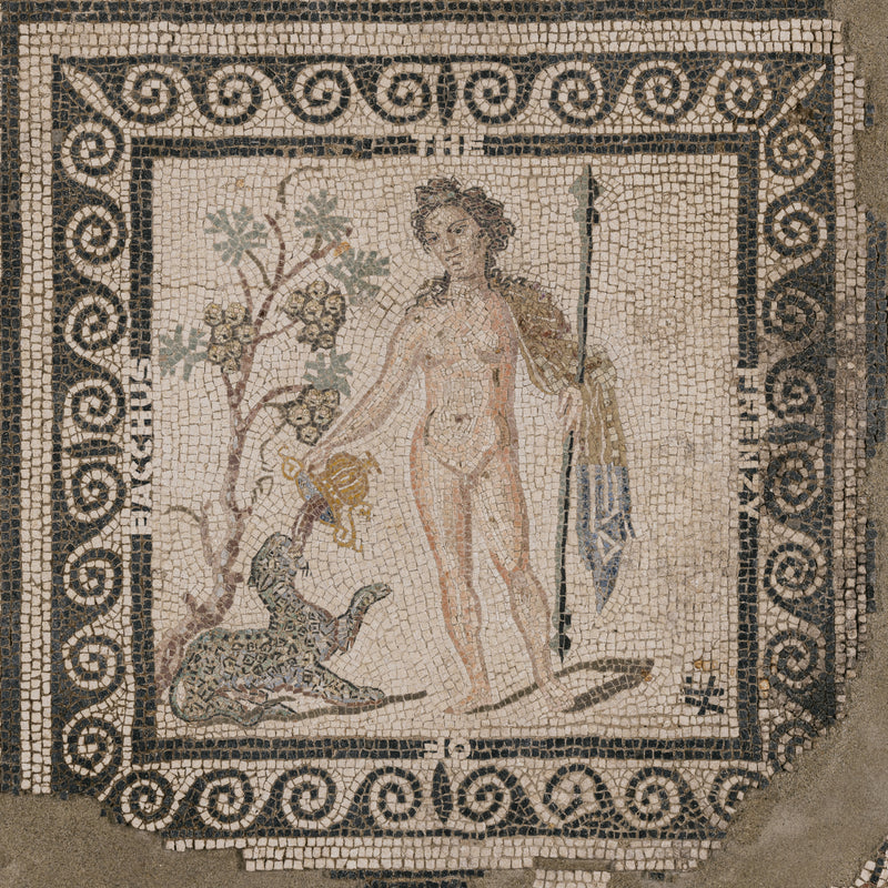 The Frenzy of Bacchus