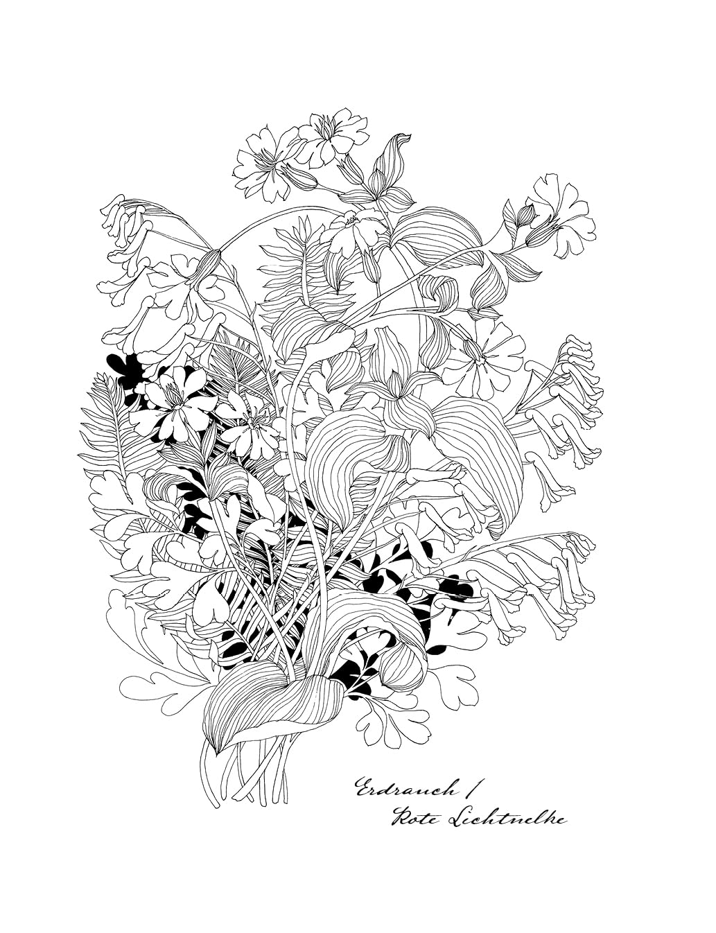 Wunderbare Blütenwelt: Ein Malbuch für das ganze Jahr | Ein Kapitel pro Monat mit hochwertigen Illustrationen von Flora und Fauna passend zur Jahreszeit
