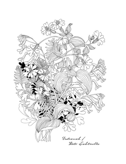 Wunderbare Blütenwelt: Ein Malbuch für das ganze Jahr | Ein Kapitel pro Monat mit hochwertigen Illustrationen von Flora und Fauna passend zur Jahreszeit