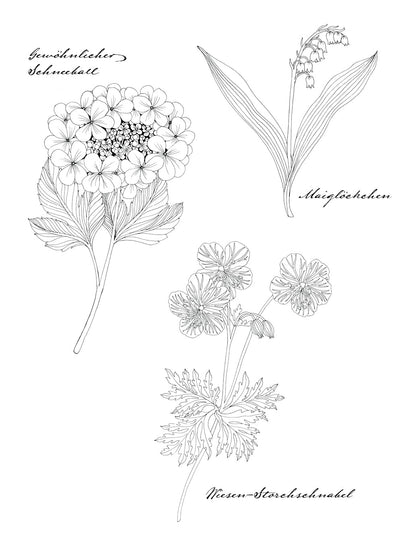 Wunderbare Blütenwelt: Ein Malbuch für das ganze Jahr | Ein Kapitel pro Monat mit hochwertigen Illustrationen von Flora und Fauna passend zur Jahreszeit