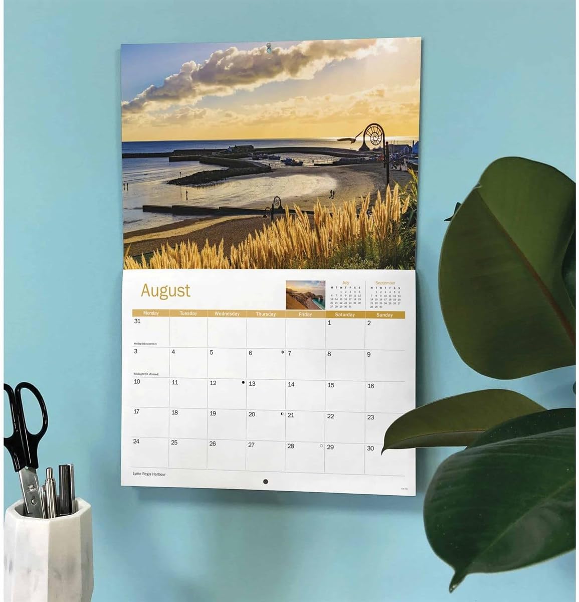 Dorset 2026 A4 Wall Calendar