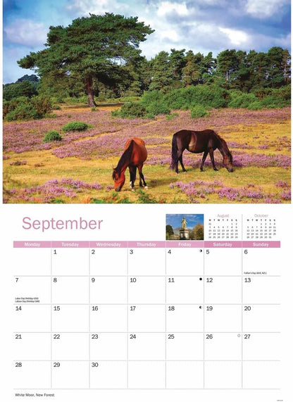 Hampshire 2026 A4 Wall Calendar