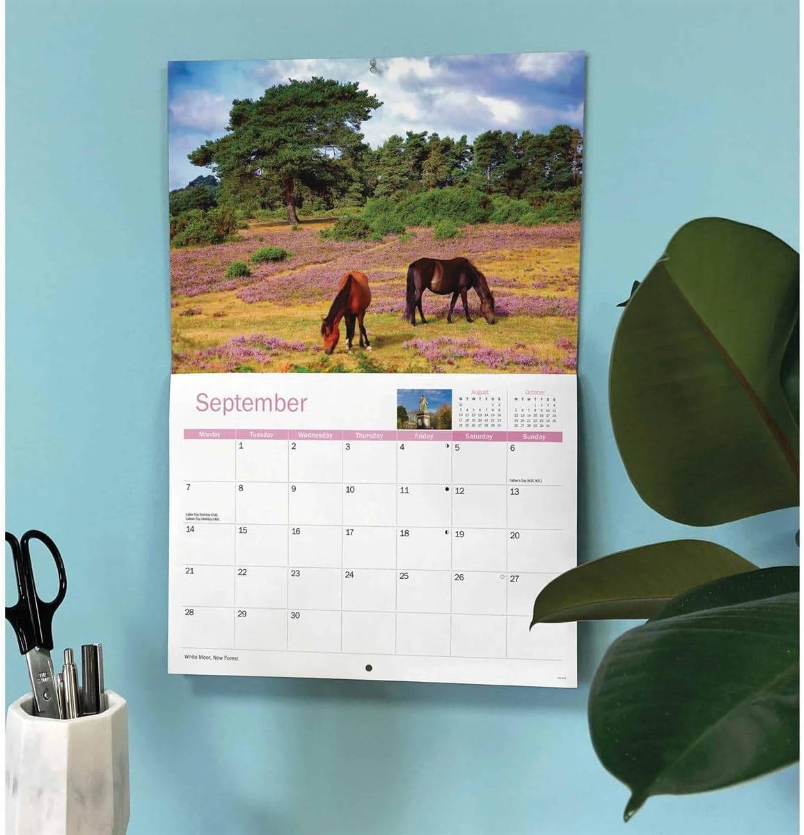 Hampshire 2026 A4 Wall Calendar