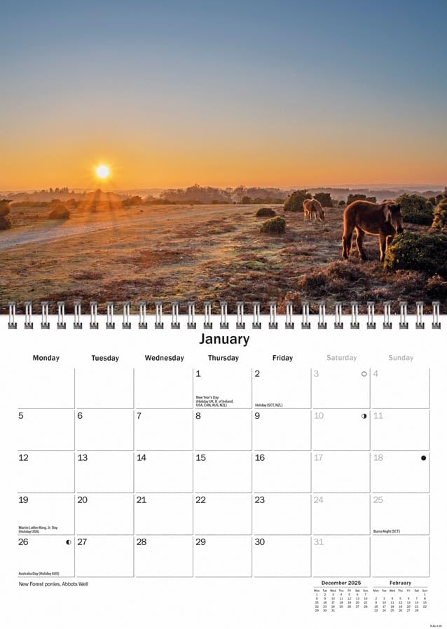 Hampshire 2026 A5 Wall Calendar